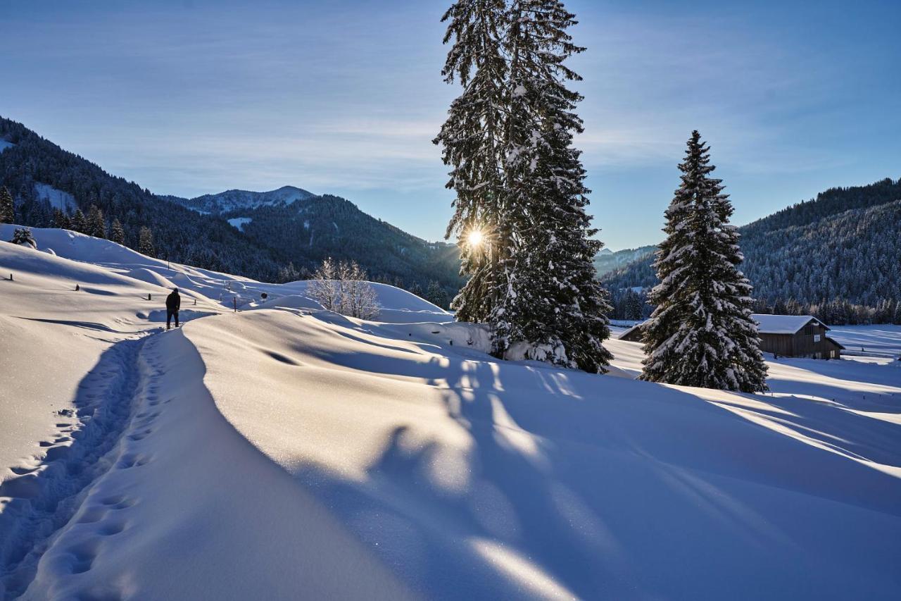 Hubertus Mountain Refugio Allgaeu Balderschwang Exterior photo