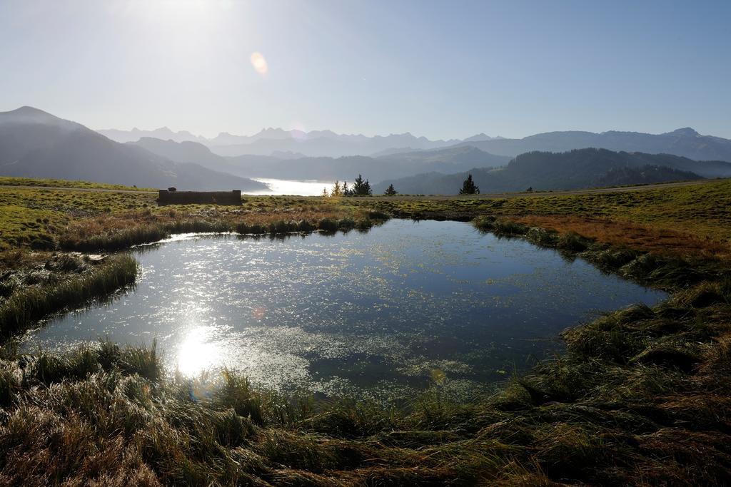 Hubertus Mountain Refugio Allgaeu Balderschwang Exterior photo